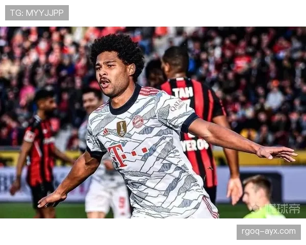 格纳布里技术细节解析：比赛中如何最大化发挥个人优势引关注