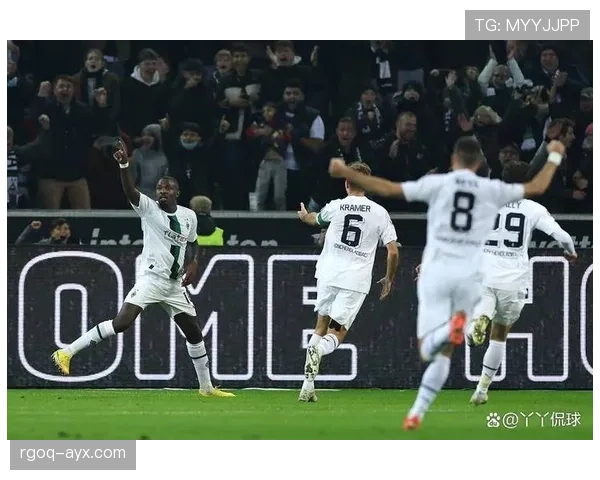 德甲门兴球迷狂热助威，主场氛围持续提升