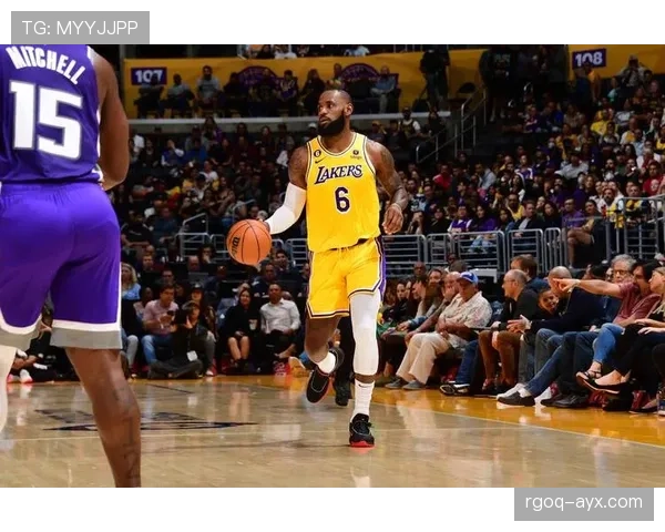 戴维斯比赛稳定性