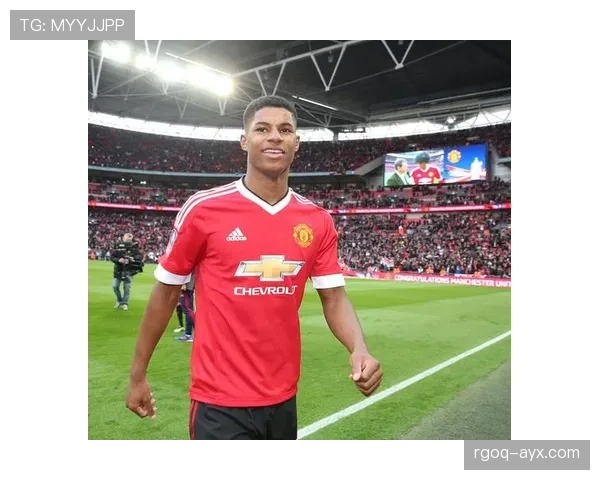 拉什福德职业态度评价